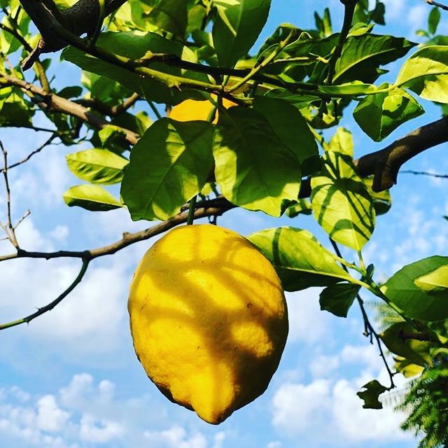 Instagram photo #6