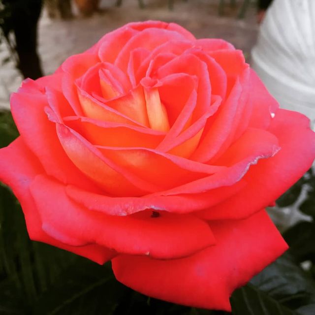 Instagram photo #8