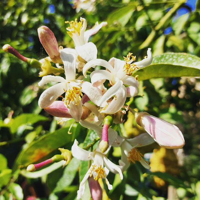 Instagram photo #3