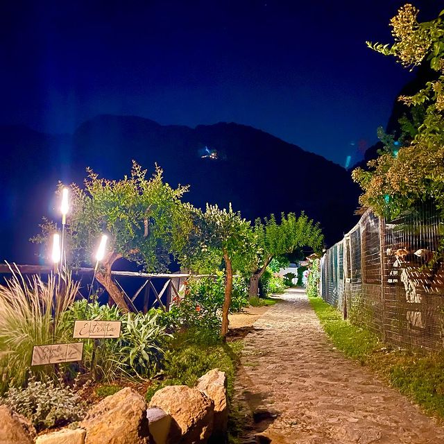 Instagram photo #8